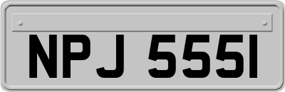 NPJ5551