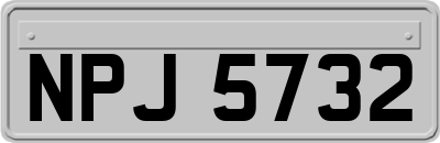 NPJ5732