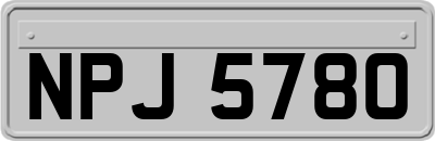 NPJ5780