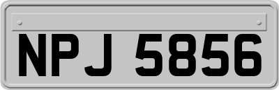 NPJ5856