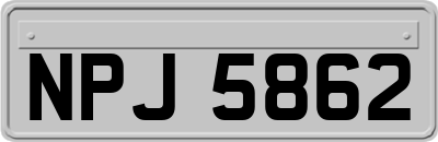 NPJ5862