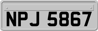 NPJ5867
