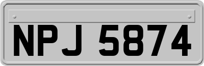 NPJ5874