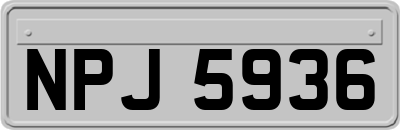 NPJ5936