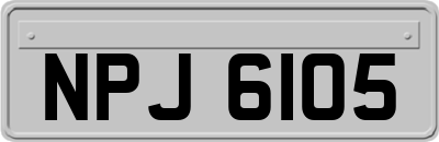 NPJ6105