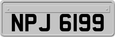 NPJ6199