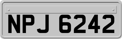 NPJ6242