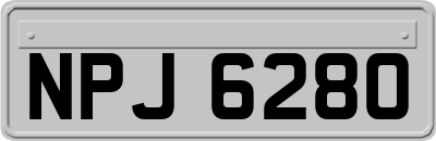 NPJ6280
