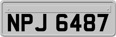 NPJ6487