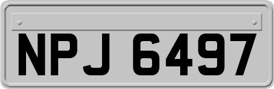 NPJ6497