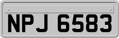 NPJ6583