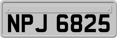 NPJ6825