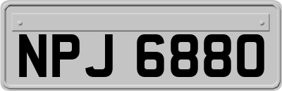 NPJ6880