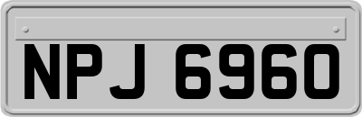 NPJ6960