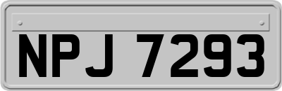 NPJ7293