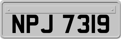 NPJ7319