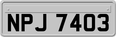NPJ7403