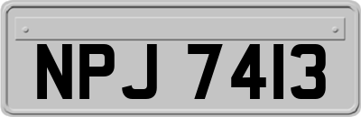 NPJ7413