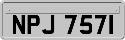 NPJ7571