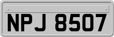 NPJ8507