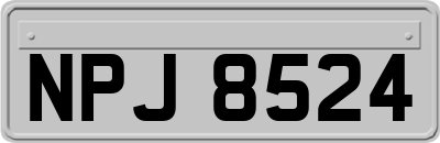 NPJ8524