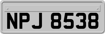 NPJ8538