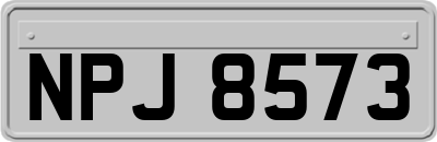 NPJ8573
