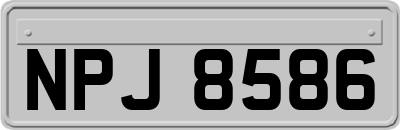 NPJ8586