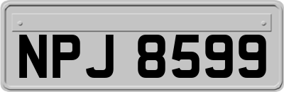 NPJ8599