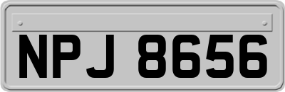 NPJ8656
