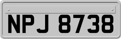 NPJ8738