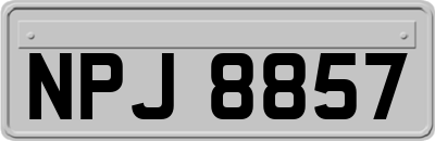 NPJ8857