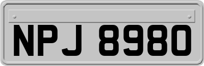 NPJ8980