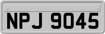 NPJ9045