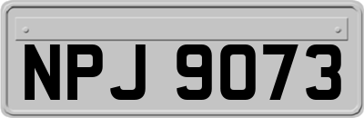 NPJ9073