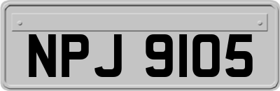 NPJ9105