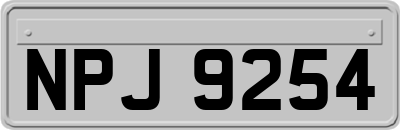 NPJ9254