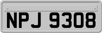 NPJ9308