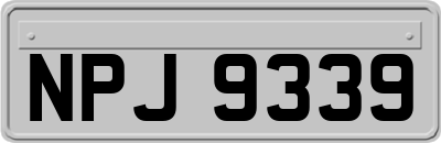 NPJ9339