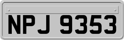 NPJ9353