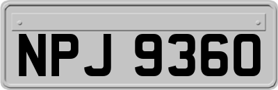 NPJ9360