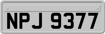 NPJ9377