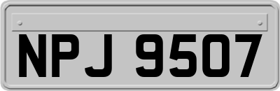NPJ9507