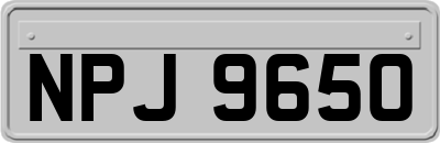 NPJ9650