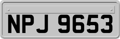 NPJ9653