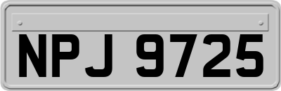 NPJ9725