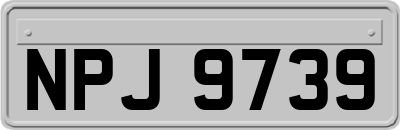 NPJ9739