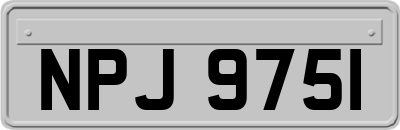 NPJ9751