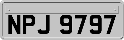 NPJ9797