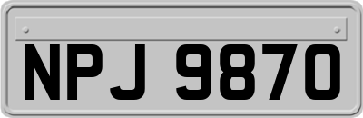 NPJ9870